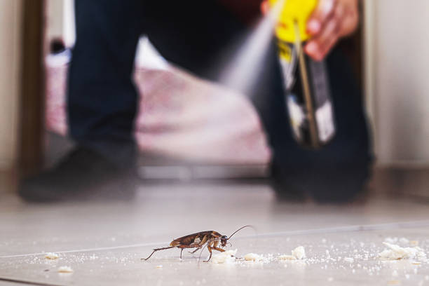 Best Best Pest Control Companies  in Smyrna, DE